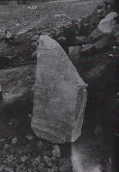 insp__re's tweet image. Selection by @STUKLeuven inspired by their yearly contemporary visual arts Artefact festival in Leuven. This year's edition is about stories from our beloved mother Earth. insp.re/selection-by/a…