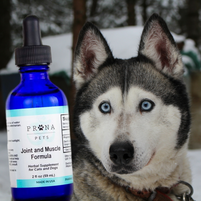 PranapetsFans's tweet photo. Baby, it's cold outside! If you're waking up with extra aches and pains, your pet may be too. Our all-natural Joint &amp; Muscle Formula can help! https://t.co/fcH2kihJvu https://t.co/siV1BiauYm