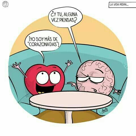 chicapuma_leslly tweet media