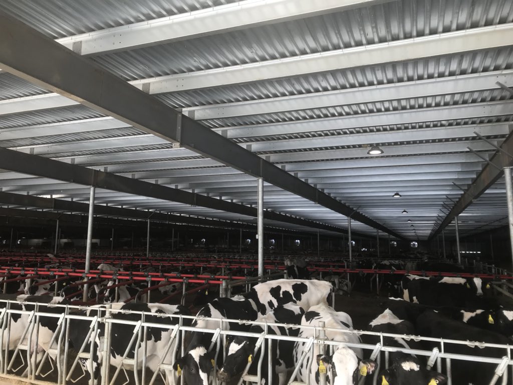Great tour of a big box dairy. <a href="/SaskviewFS/">Saskview Farm Solutions</a> <a href="/gdsdairy/">GlobalDairySolutions</a>