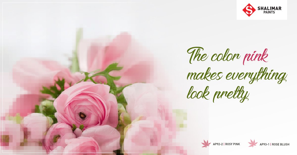 ShalimarPaints_'s tweet photo. Get those pretty shades from #ShalimarPaints on your walls and spread the love..
#RoseDay #ValentineWeek #ColorsOfLove #PrettyWalls #ColorQuote https://t.co/ffB45OiAxn