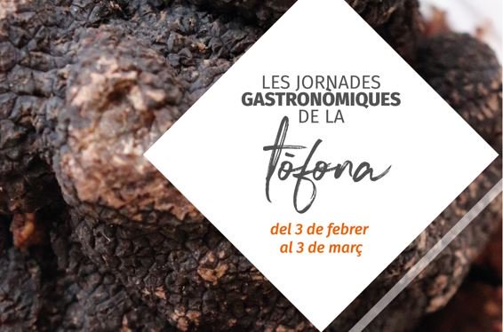 La tòfona, la gran protagonista de la nova campanya gastronòmica d' <a href="/OsonaCuina/">Osona Cuina</a> ➜ ow.ly/PER030ifPSv