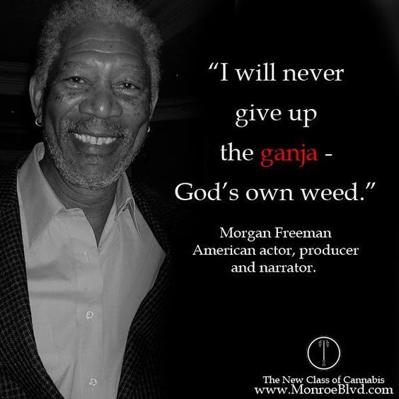 CTFOSmokeShop's tweet photo. "i will never give up the guanja" - Morgan Freeman 
#weed #smoking #cannabis #bong #weedInfo 
#marijuana #CTFOSmokeShop #THC #WeedUK #MorganFreeman #WeedQuotes https://t.co/IPPv6fiP1Y