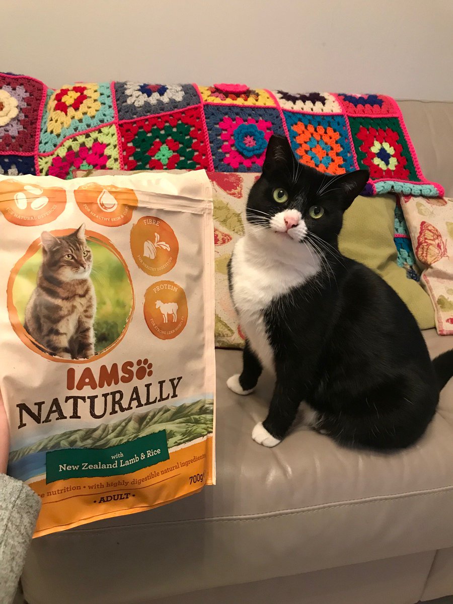 Halaboo78's tweet photo. @iams_uk1 My cat is loving getting stuck in to these #IAMSnaturally https://t.co/zvQmbbvwcG