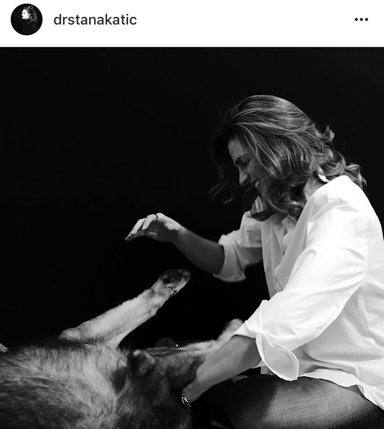 Absentia (@absentianews) on Twitter photo 