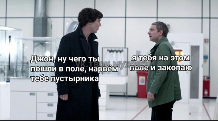 Комплекс антистресс капсулы валериана пустырник глицин. С тобой чтоб жить пустырник надо жрать. Стишок про пустырник. Успокоительные фразы. Пустырник растение описание.