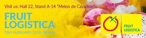 Le syndicat des Maîtres Melonniers se trouve actuellement au Salon Fruit Logistica à Berlin qui se déroule du 7 au 9 Février 2018. En 2017, plus de 76 000 visiteurs ainsi que 3.077 sociétés exposantes et organisations d'environ 84 pays y ont assisté.
#mincavaillon #FruitLogistica