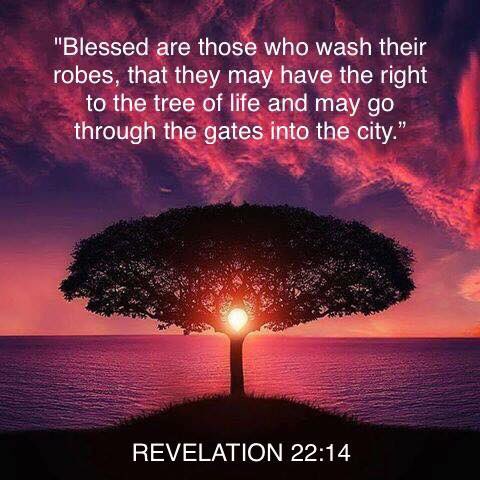 Wayne Biehn (@warrior4king) on Twitter photo 