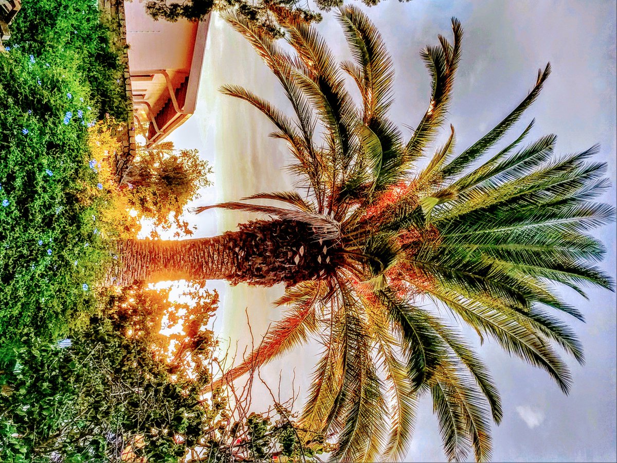 valmiksoni's tweet photo. Sunset at Windhoek, HDR shots. #IloveNamibia https://t.co/qD3WVpSAdL