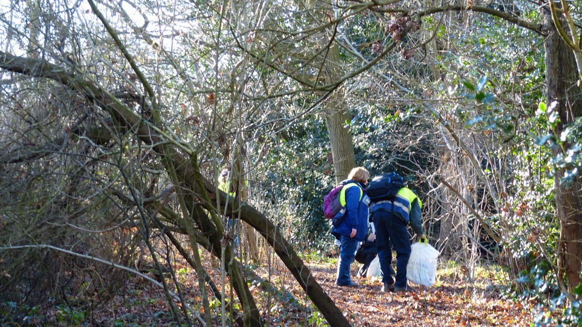 readingbotany's tweet photo. If you go down to the woods today, you'll be sure to see #MScPlDiv & #MScSSS @UniofReading doing an #ExtendedPhase1 survey @coombesschool! #NotPhasedbyPhase1 @LauraVint1 @BotanyKaren @Lara_BatesPrior @lfgilroy @ElliottLloyd7 https://t.co/dzTMa8A3nY
