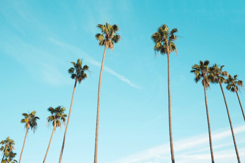 ModernismWeek's tweet photo. #ModernismWeek kicks off next Thursday, February 15! There are plenty of events still available for all the spontaneous travelers and planning procrastinators. Don't wait until it's too late ⌛ https://t.co/62hl4ukUy1 #ModernismWeekly #PalmSprings https://t.co/tT40MbH7a6