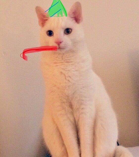 Happy birthday to my cat Jax and to my favorite youtuber Jack(septiceye) :pp 