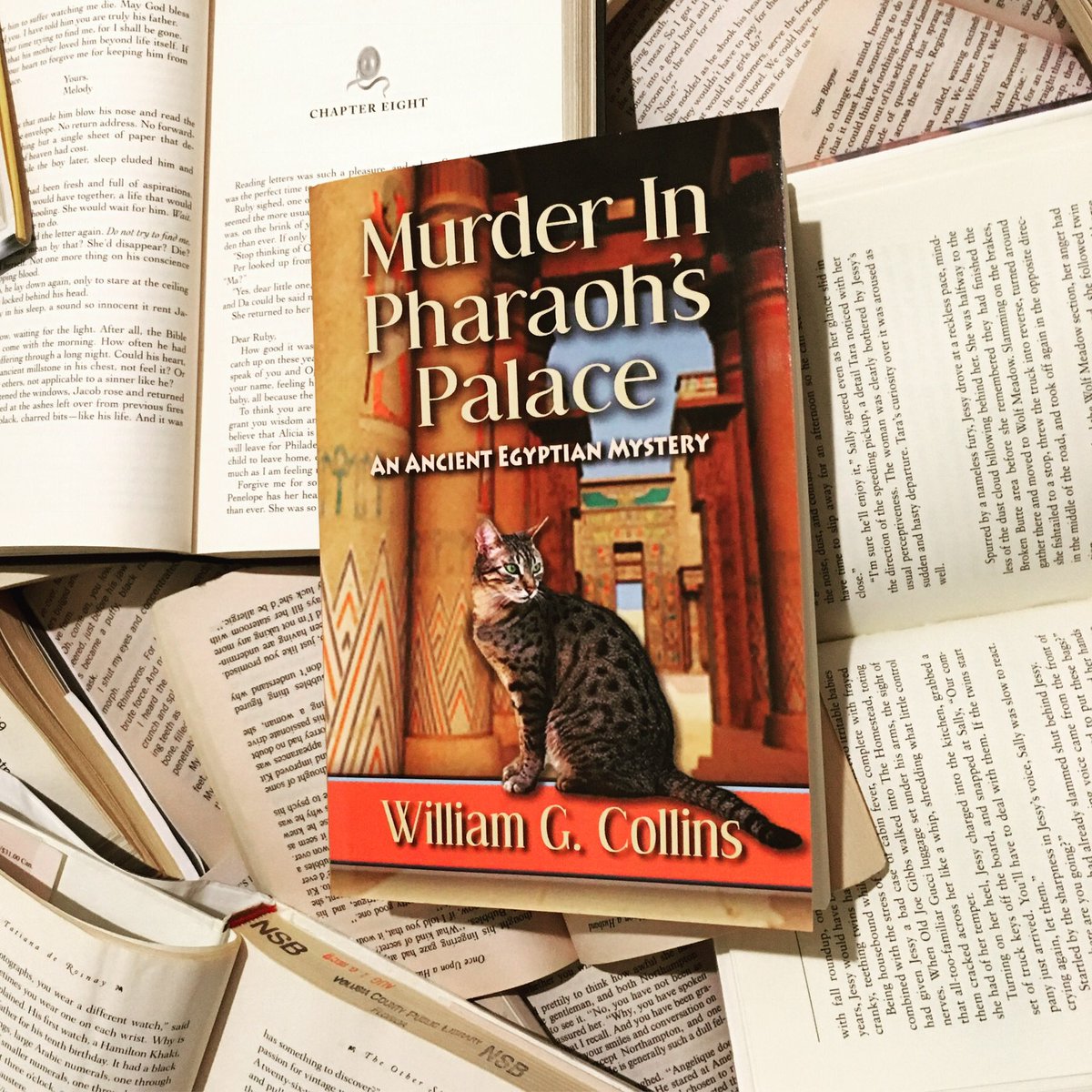 TaylorAndSeale's tweet image. Follow our updates on Google+ taylorandseale.business.site #business #book #fuction #nondiction #lovetoread #winterreads #winter #florida #local #smallbusiness #enterpreneur #pages #buzz #february #ValentinesDay