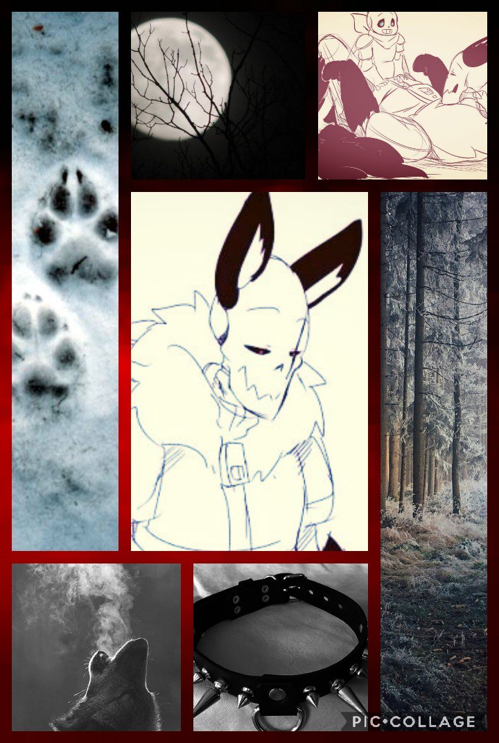 SadisticDoggo's tweet image. ╔════════╗

" ..... "

ιт sεεмs тнε ∂σg ιs scαяε∂ σғ үσυ...

ˢᵂᴵᵀᶜᴴ(ᴸᴱᴬᴺˢ ᵀᴼ ˢᵁᴮᴹᴵˢˢᴵᵛᴱ)

 ᵀᴬᴸᴸ 7'3"(ˢᴵᶻᴱ ᵛᴬᴿᴵᴱˢ)

 ᶜᵁᴿᴵᴼᵁˢ

 ᶜᴬᴿᴵᴺᴳ

╚════════╝

 ᴿᴱᵀᵂᴱᴱᵀˢ ᴬᴿᴱ ᴬᴾᴾᴿᴱᶜᴵᴬᵀᴱᴰ