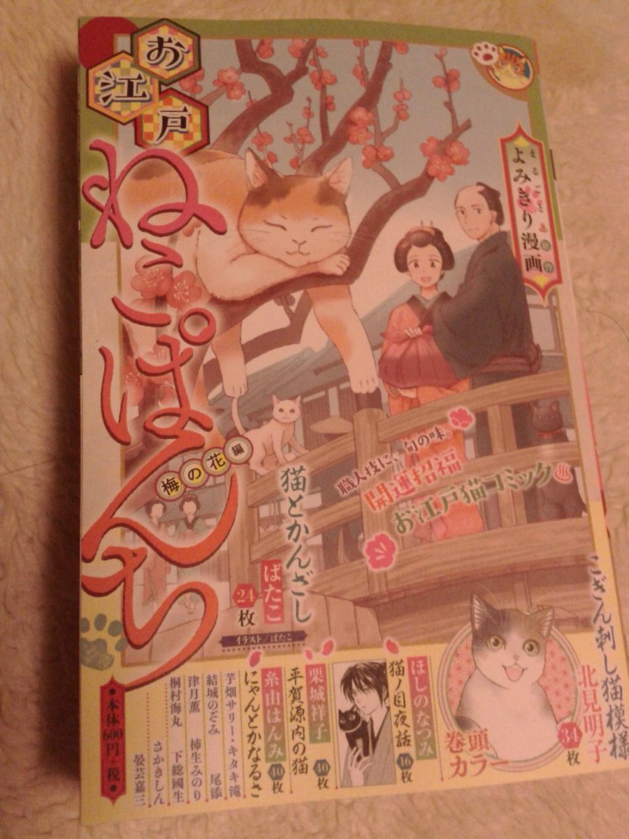 お江戸ねこぱんち お江戸ねこぱんち