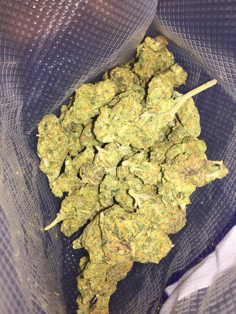 trapwayne_'s tweet photo. Cookies 🍪 on deck i bet yall smokin dat bap FWM ⛽️⛽️ https://t.co/IEd2yXF4r6