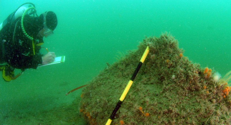 ScubaverseMedia's tweet photo. Virtual Dive on historic Normanβs Bay Shipwreck now online. Find out more here:
https://t.co/S0Qfbkf9Fgβ¦/ #scuba #diving #dive #wreckdiving #virtualdive #maritimearchaeology https://t.co/DaZI25dBim