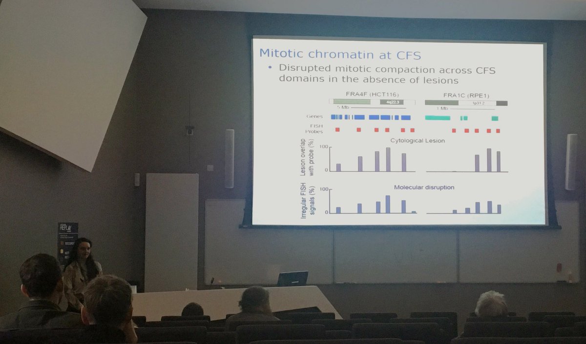 Nick Gilbert's Lab tweet media