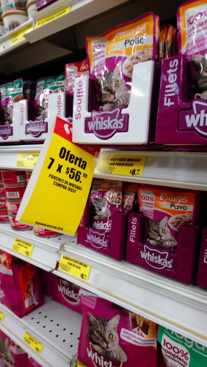 Gabriel Sauceda (gesauceda) Twitter