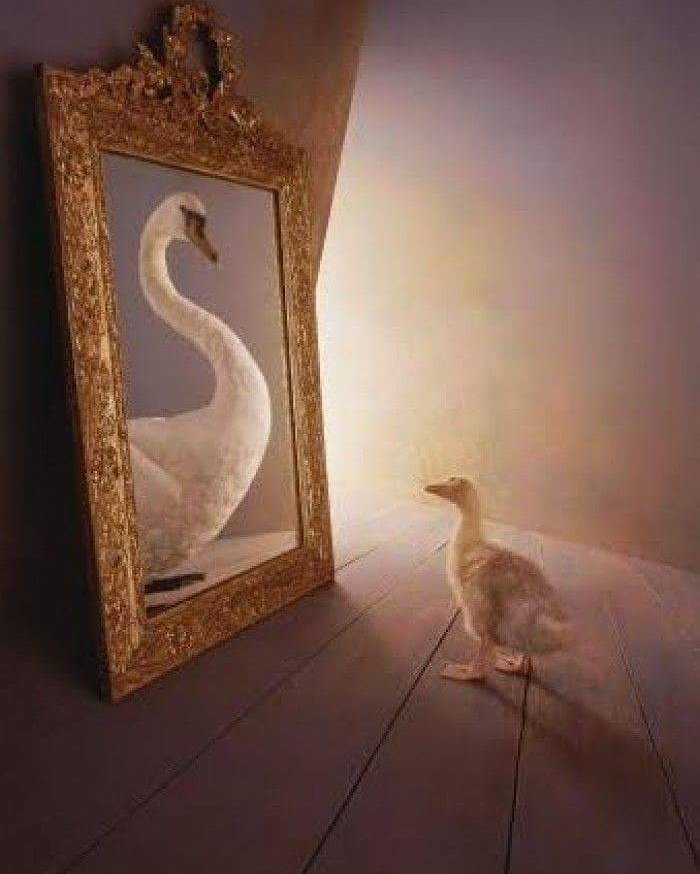 Puan_Maharani (@puanmaharani25) on Twitter photo 