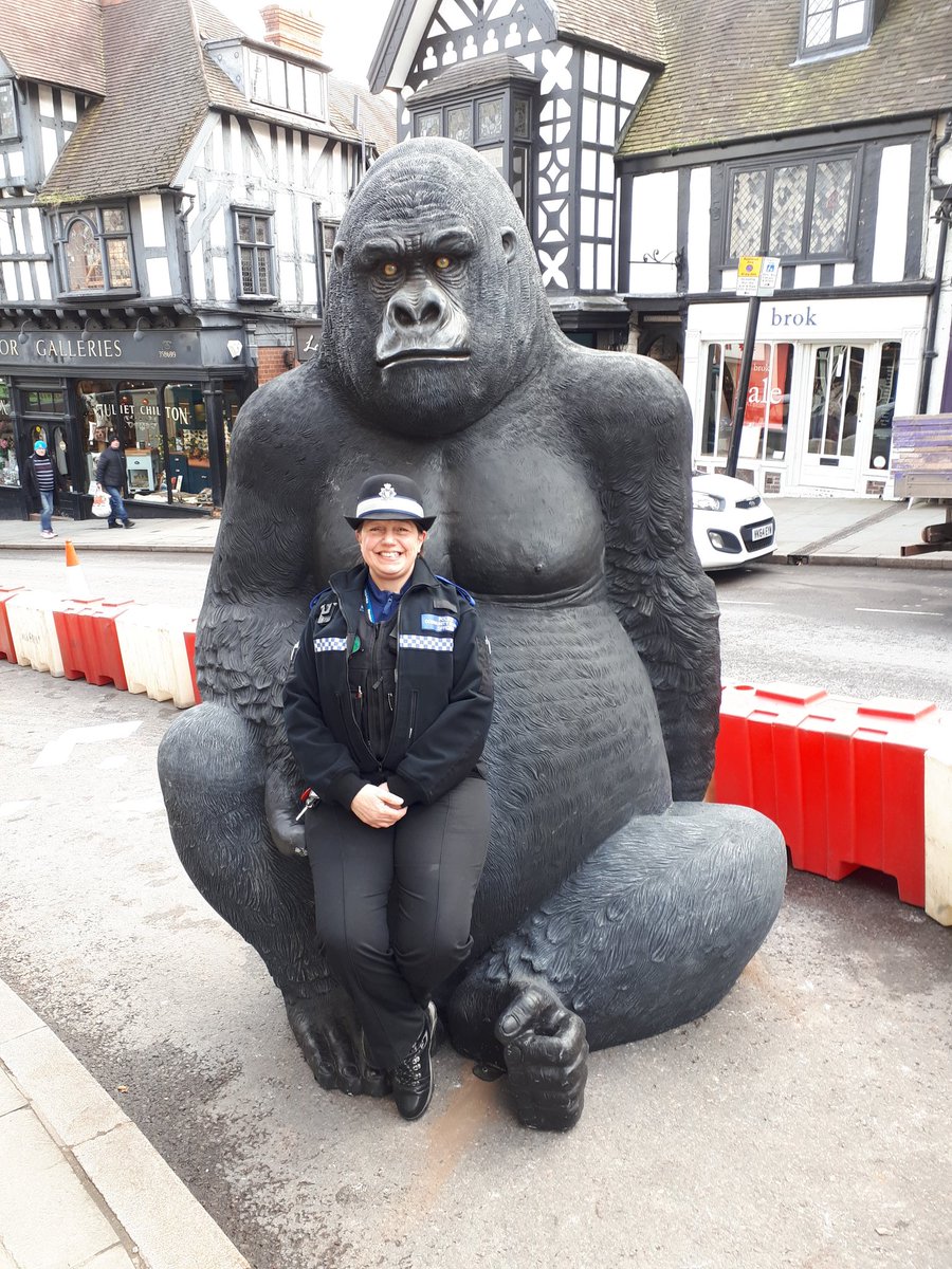 ShrewsburyCops's tweet image. Well, thats not something you see in the town every day 🤣🤣 #WildCop @OriginalShrews  come along and have your photo taken with the animals