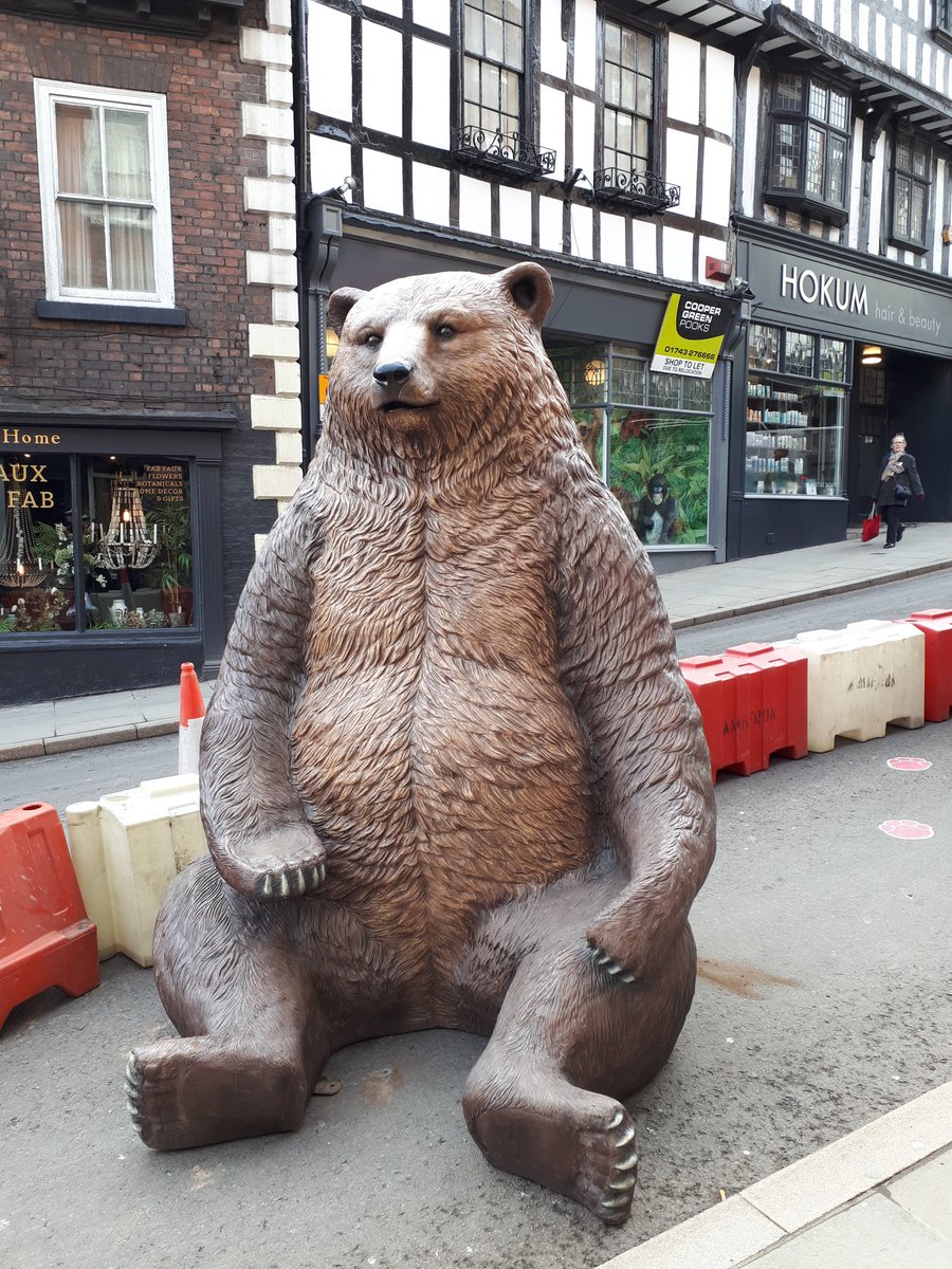 ShrewsburyCops's tweet image. Well, thats not something you see in the town every day 🤣🤣 #WildCop @OriginalShrews  come along and have your photo taken with the animals