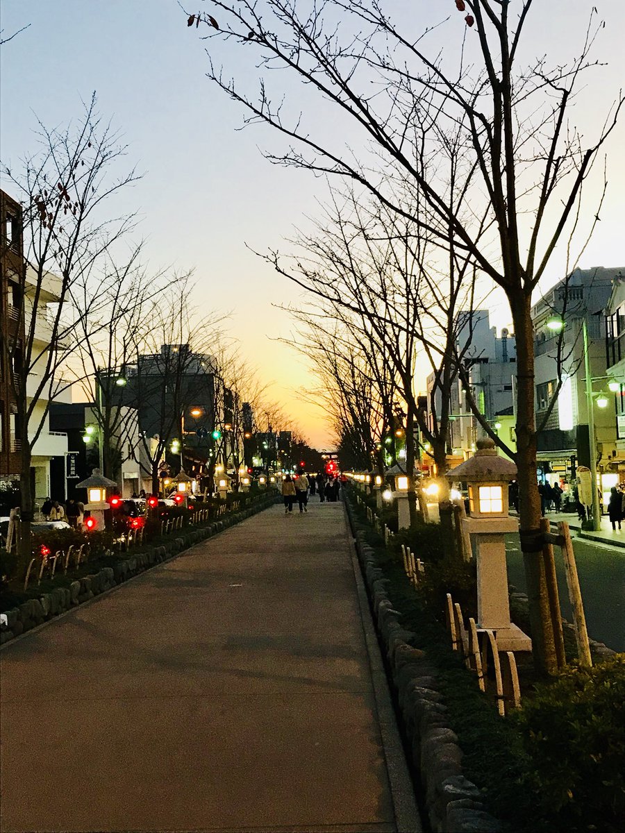 湘南らぱん Twitter પર 先日夕方に鎌倉散策した時に撮った一枚 若宮大路のこの道は夜になると灯篭に灯りがついて風流な雰囲気を楽しめます 冬の枯れ木もなかなか素敵 春は桜並木でまた綺麗なのです 湘南 鎌倉 若宮大路 鎌倉散歩 鎌倉観光 鎌倉散策