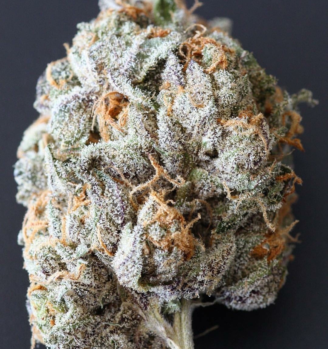caliplug247's tweet photo. Before and after #tapin #calibud #fuckyoplug https://t.co/1Y8Jj5IHgm