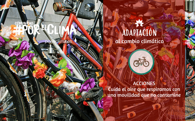 compromisoclima's tweet photo. Cuida el aire que respiramos con una movilidad que no contamine ¡¡Ponte en marcha!!
Acciones de adaptación frente al #CambioClimático.
#AdaptaCC #PorElClima con el apoyo de @FBiodiversidad
https://t.co/OGkhcofHDr https://t.co/0xmdytJ2fa
