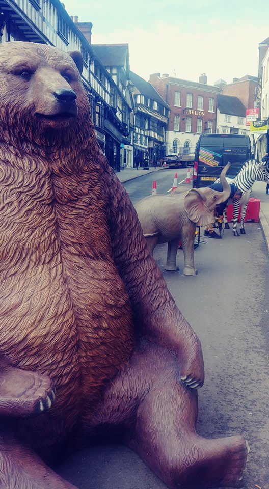 ShropsWildlife's tweet image. #SWTSelfie of the week! #WildCop is a great way of filling some of the space during the improvement work on Wyle Cop by @OriginalShrews #Shrewsbury