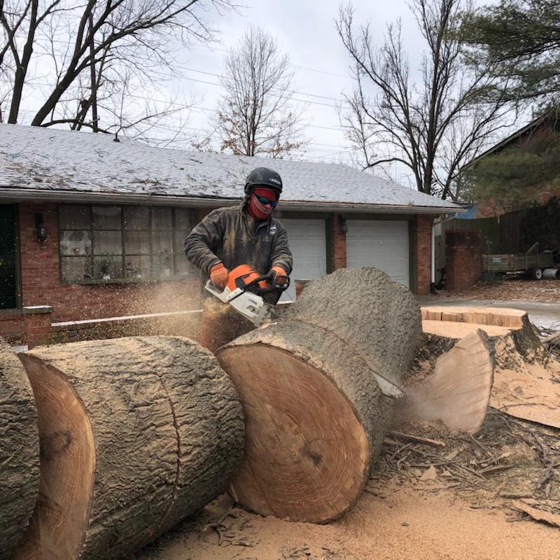 ResourceComo's tweet photo. Last week we were called by a family about a giant oak that had unfortunately died. We would like to thank the El-Sayed family for trusting us with such a big job. https://t.co/tDQyEBh96I