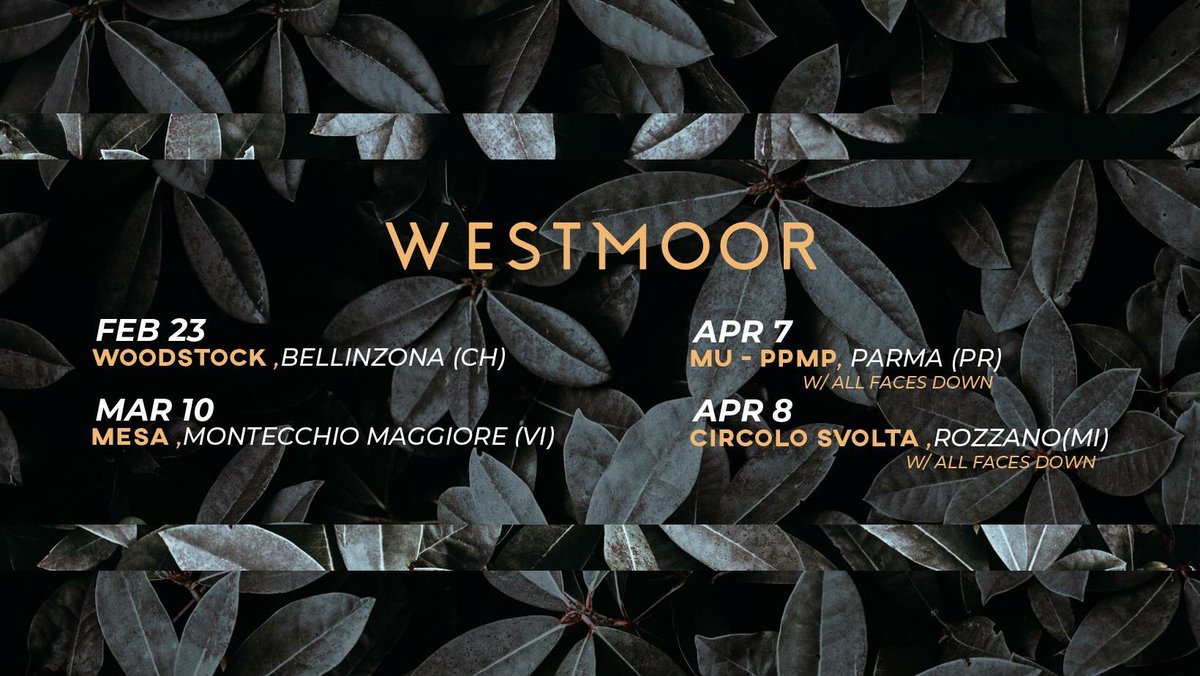 westmoormusic's tweet photo. Dove ci vediamo amici? https://t.co/Rt1koRVk2P