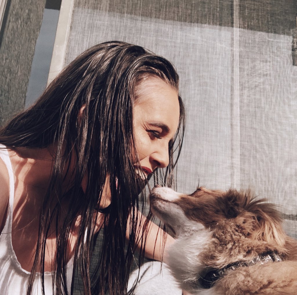 A wild Ollie has appeared