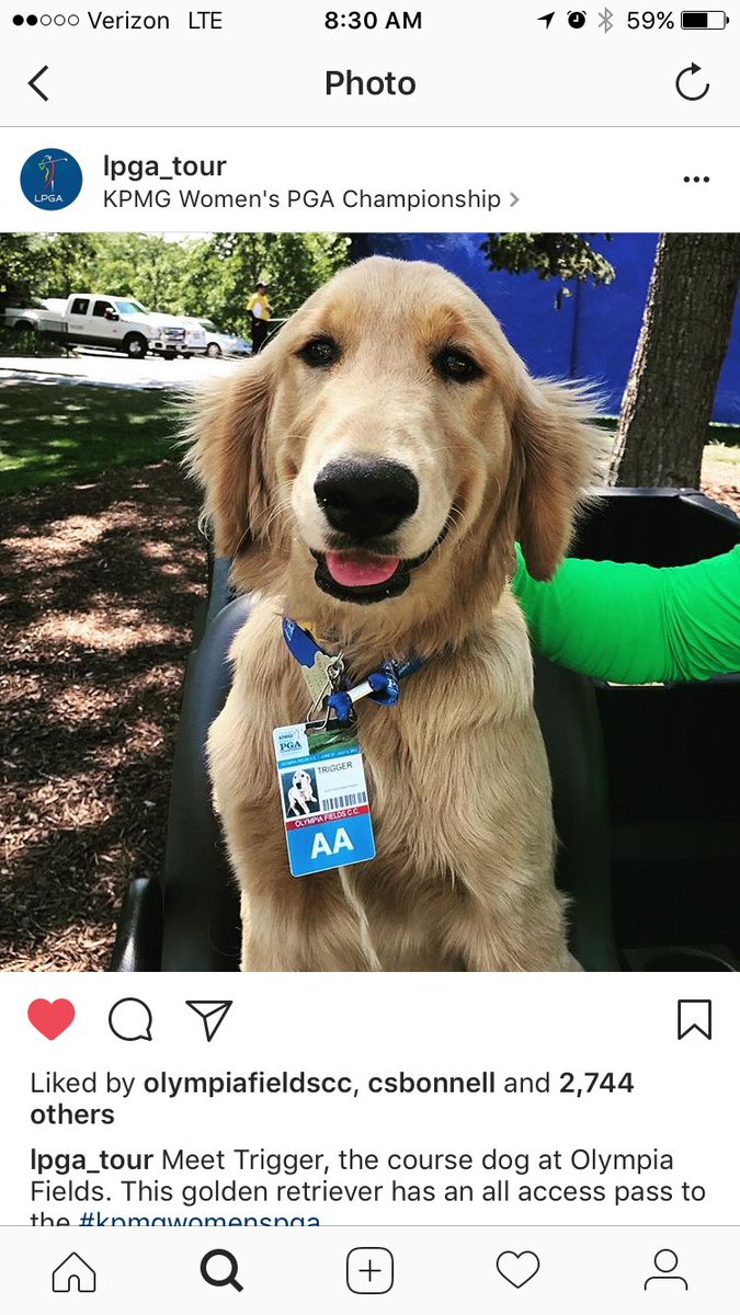 Jake Paver tweet media