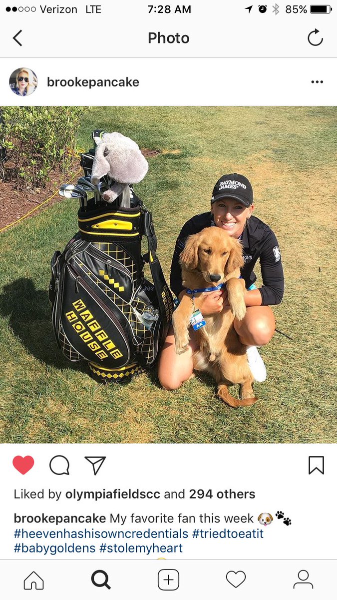 Jake Paver tweet media