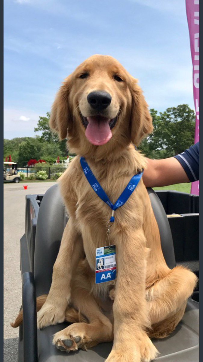 Jake Paver tweet media