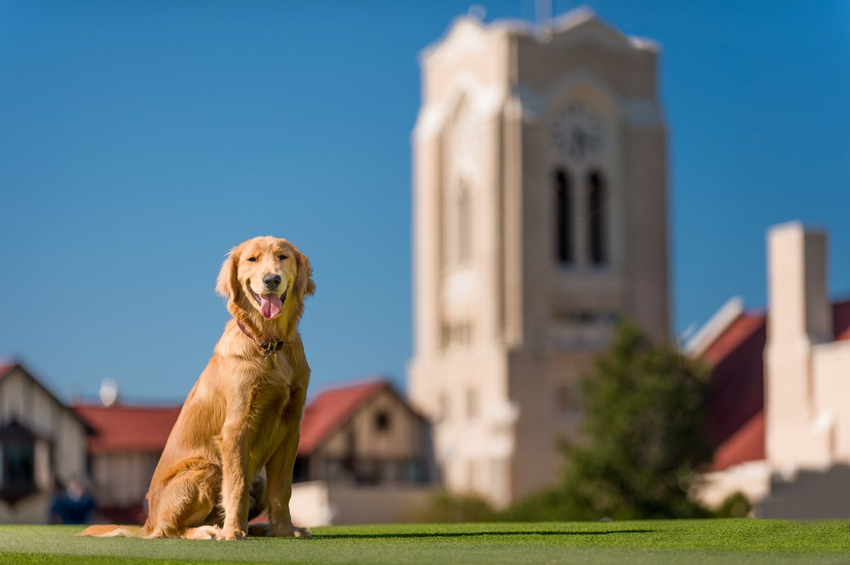 Jake Paver tweet media