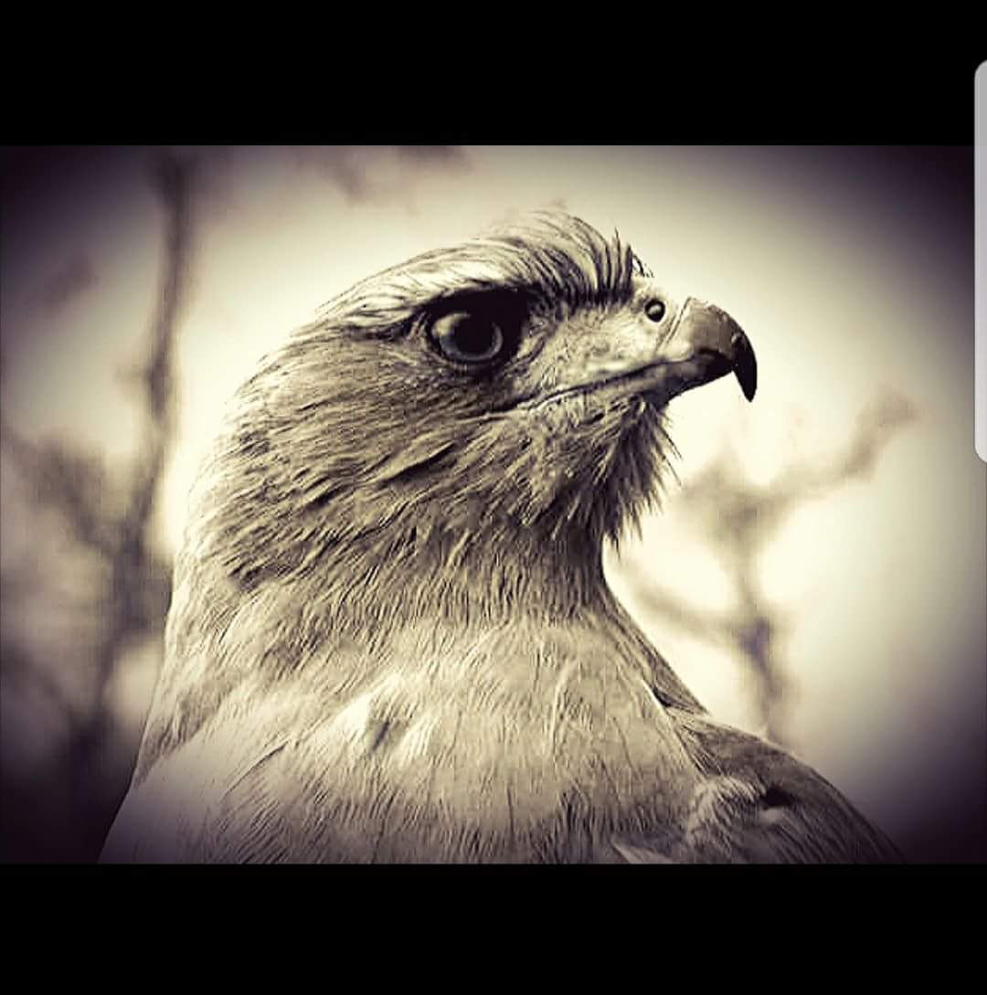 JRProfessional1's tweet photo. @bernabephoto I am 11yrs old from #Yorkshire,I am setting up my own #photography business.I want to raise money for #charity in memory of my great grandma by taking photo's of #celebrities for a small #donation or to raffle the photo's. Could anyone help me please? Please retweet. Thanks,Reece https://t.co/bDBoIgyzj7
