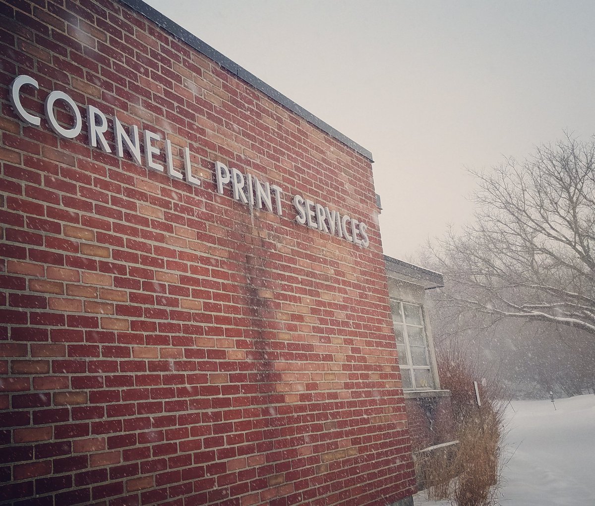CornellPrint's tweet photo. #Snowday won't stop us! Need flyers, business cards, bookmarks, posters, etc? We're open and #wecanprintthat. #Cornell https://t.co/sAmttVTszn