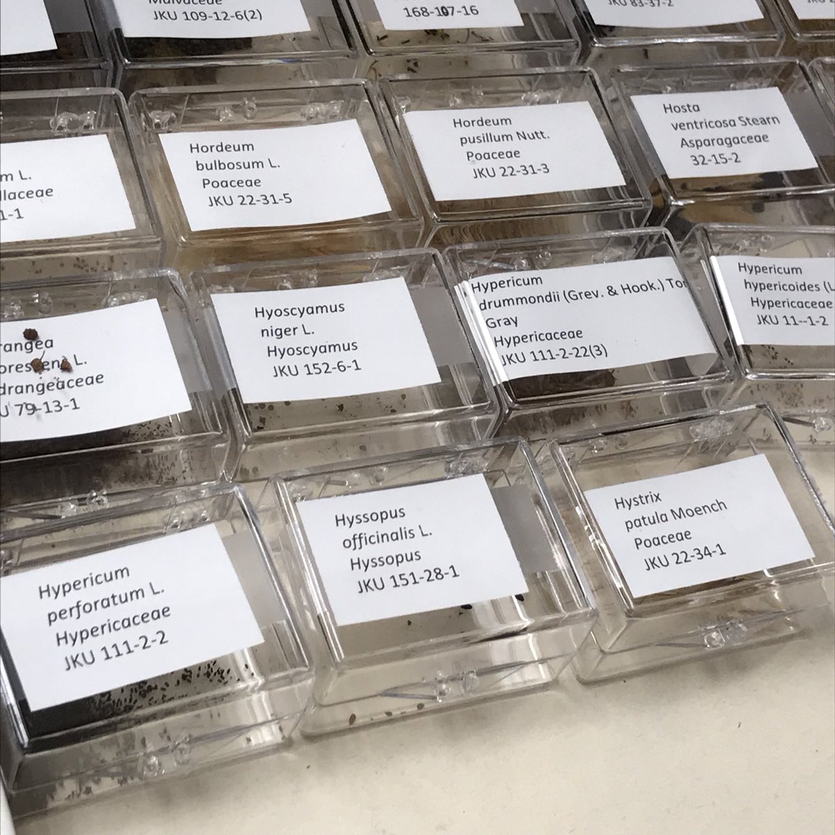 donna_librarian's tweet photo. Had a great time talking with the director of @UTKHerbarium. DYK it’s the second largest in the southeast? https://t.co/DMSqTptd4i