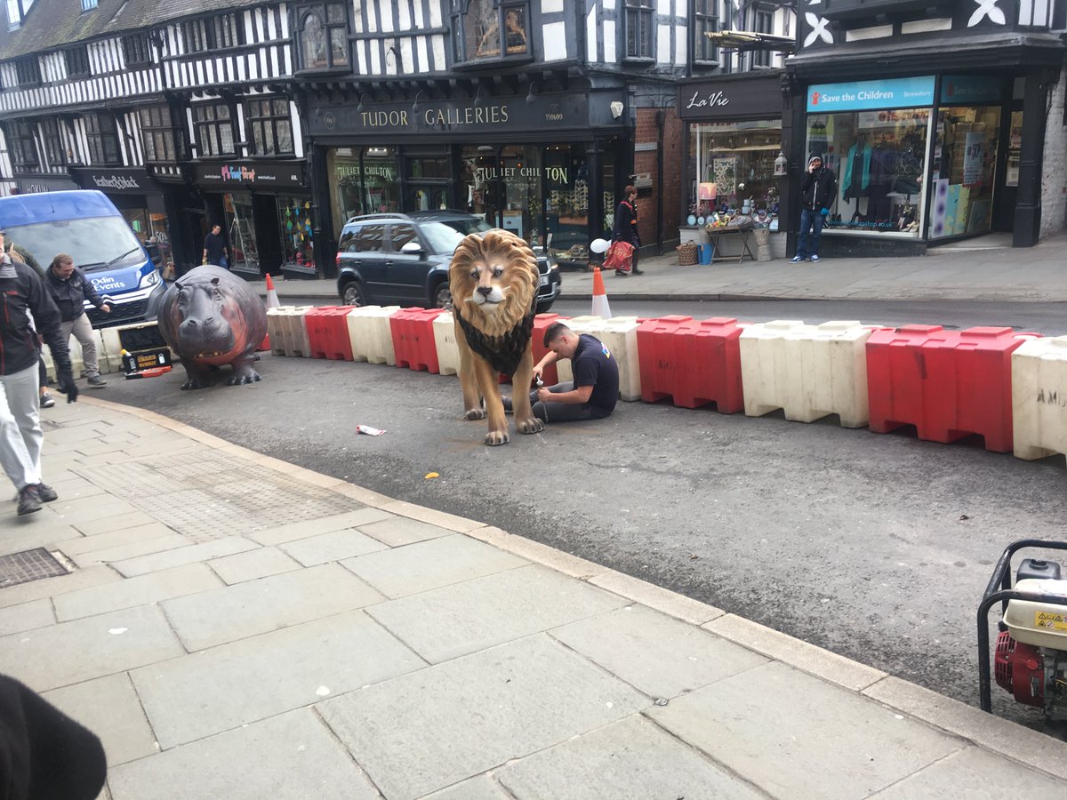 Have you visted 'Wild Cop' in Shrewsbury?

<a href="/ShrewsburyBID/">Shrewsbury BID</a> are in the process of transforming Wyle Cop into Wild Cop for the next two weeks with some amazing wildlife statues! Be sure to give it a visit! #WildCop #Shrewsbury