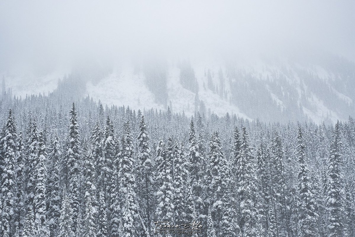 Whiteout <a href="/ExploreCanada/">Canada</a> <a href="/HelloBC/">Super, Natural British Columbia</a> <a href="/KootenayNP/">Kootenay Nat. Park</a> <a href="/ParksCanada/">Parks Canada</a>