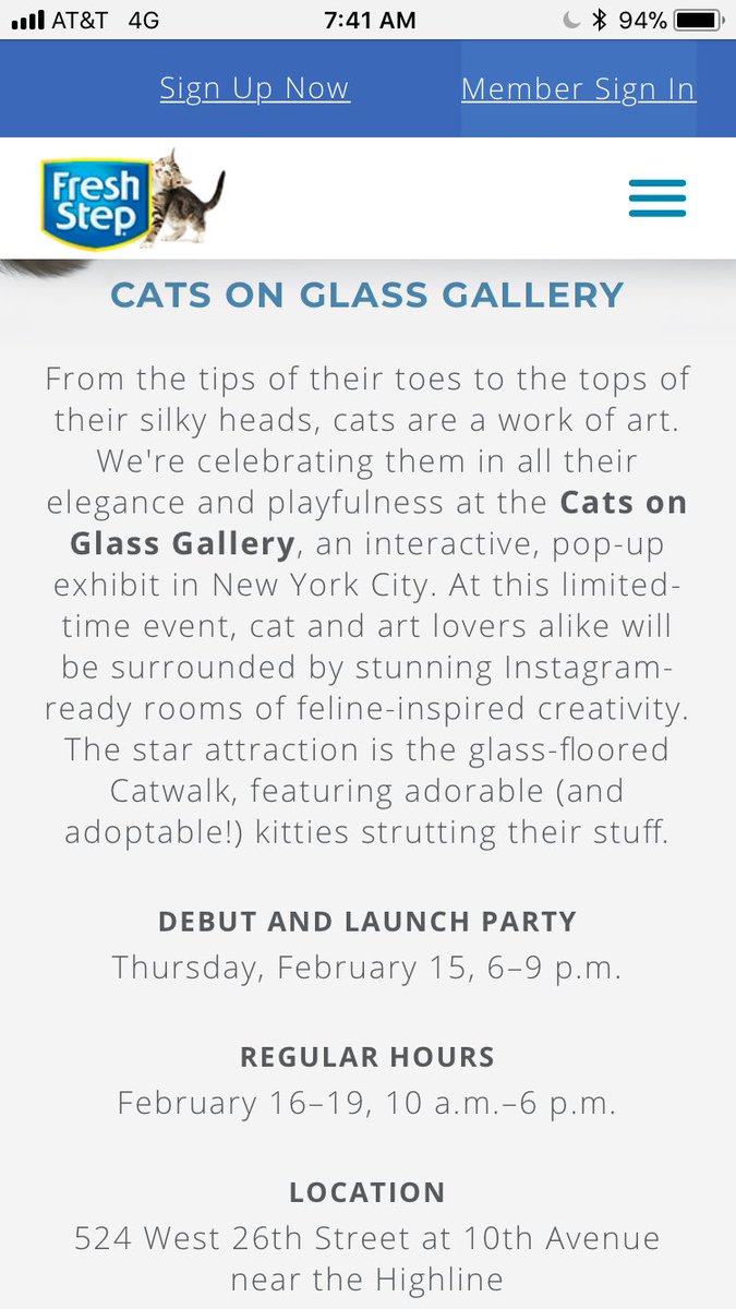 L_M_A_Y's tweet photo. What’s up NYC.  You wanna see some cats... ON GLASS?? https://t.co/1iJLDvPSDr https://t.co/YdISFLEVWl