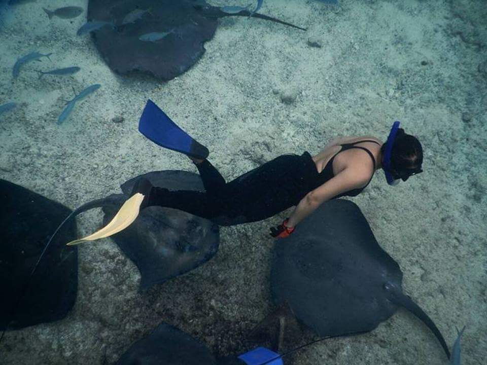 karaysandsharks's tweet photo. Ven a #disfrutar de la #magia de #Cozumel! 
#Everybodylovesray
#raysandsharks
@VisitCozumel @ViajemosPorQRoo @ElJuanpaZurita https://t.co/nL1lvd22Al