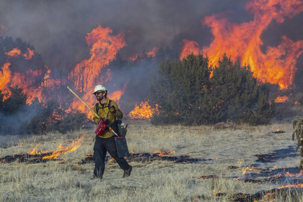 Nature_Colorado's tweet image. Every living former @forestservice chief going back to the Carter Administration teamed up to coauthor a letter asking Congress for a #FireFixNow. It’s a first for this group and a nod to how urgently we need to address this problem. bit.ly/2Ba2a6O