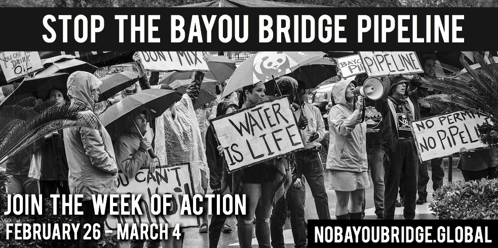 NoBayouBridge's tweet image. We are calling for global week of action to stop the final, southern leg of the DAPL system, the Bayou Bridge Pipeline. Find a target and take action. Join us: NoBayouBridge.global #NoBayouBridge