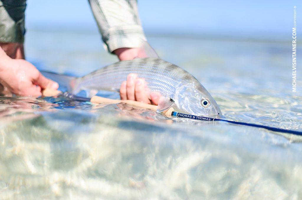 spokaneflyshop's tweet photo. Acklins bonefish #diy #bonefish #flyfishing #acklins #bahamas #silverbowflyshop @TandTFlyFishing https://t.co/DAzC7MT5sI