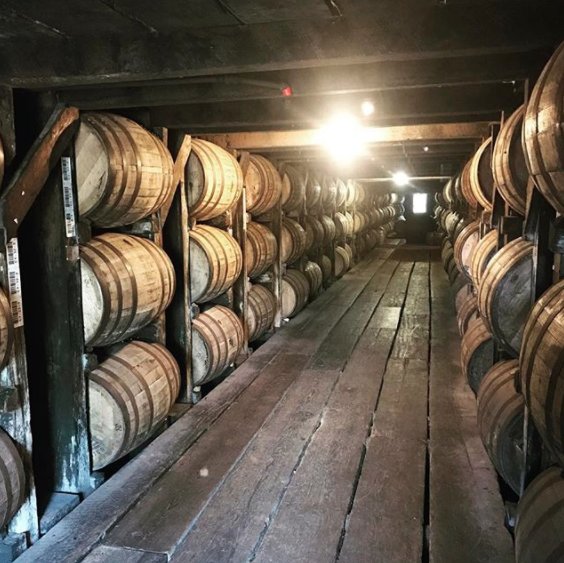 BuffaloTrace's tweet photo. Sleeping beauties at #BuffaloTraceDistillery. #buffalotrace #bourbon https://t.co/7jAZztSpKv