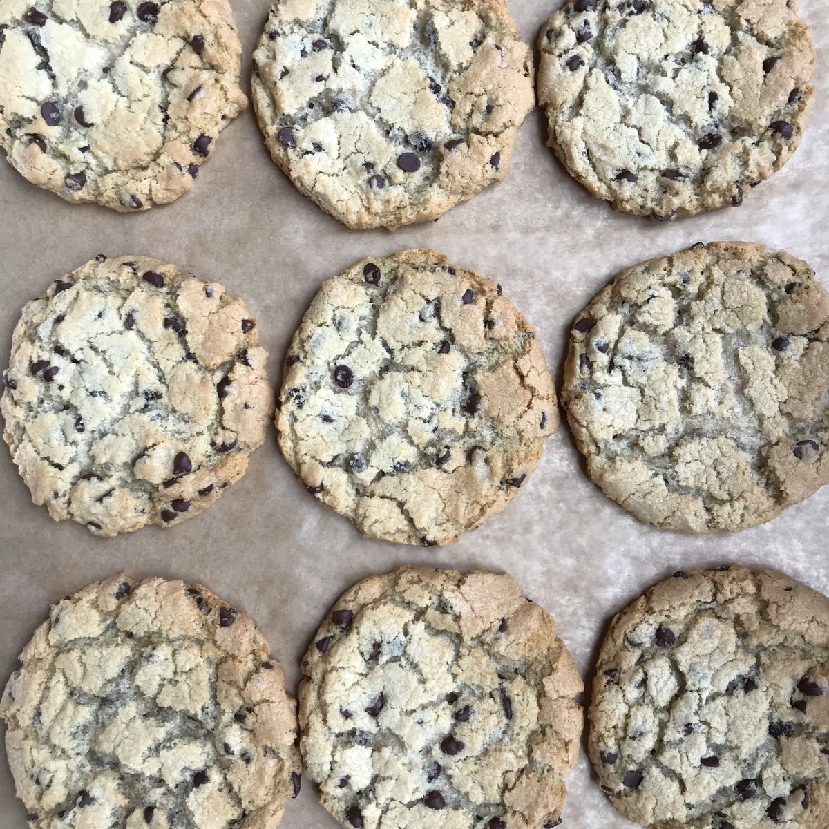 GrumpysDeli's tweet photo. Plant Based ✅
Gluten Free ✅
Delicious ✅
Come try our new chocolate chip cookie🤗 https://t.co/3N3BspOBRE