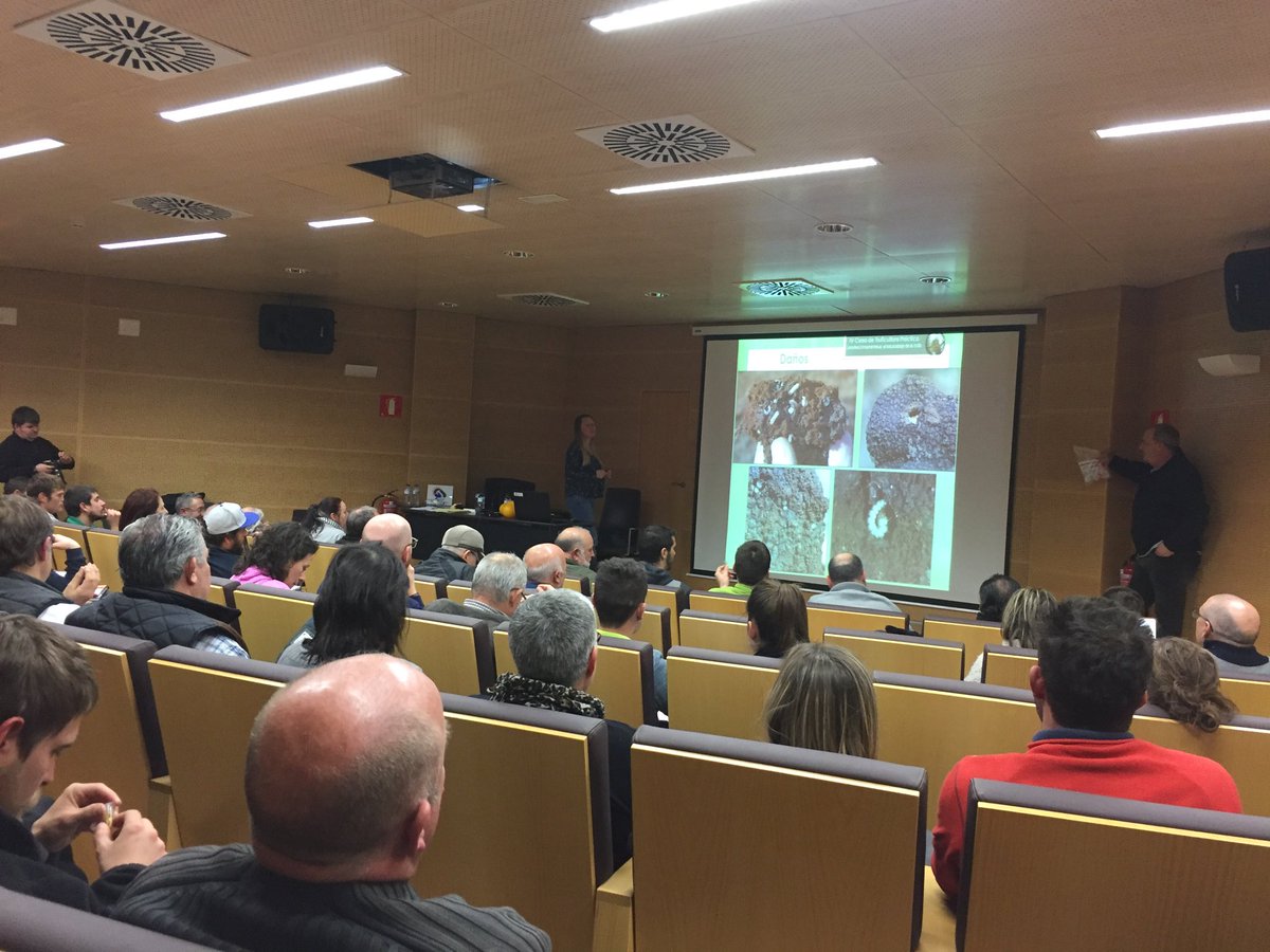 MarcosMorcillo's tweet photo. Maria Martin y Victor Pérez en charla sobre control escarabajo trufas #Leiodes  curso #truficultura #MoraDeRubielos https://t.co/nL04vhrrsg